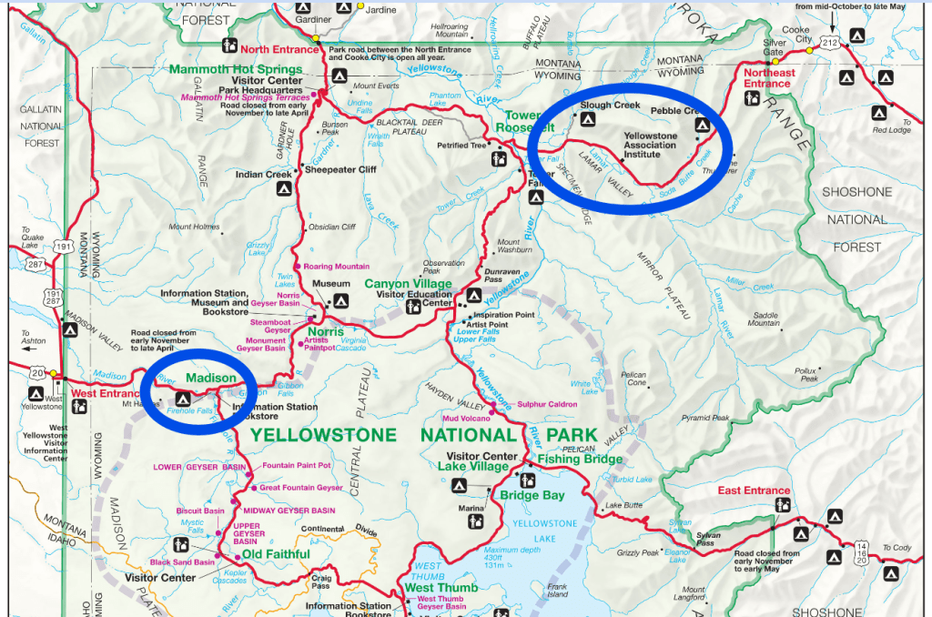 Yellowstone Park map highlighting areas where Bison are likely to be found.